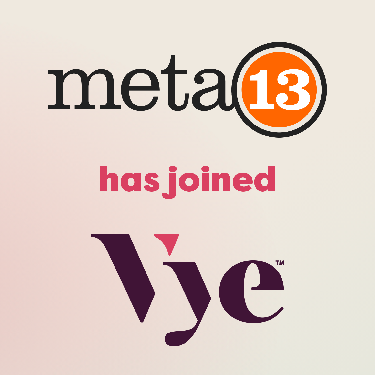 Meta 13 Joins Vye in Recent Acquisition